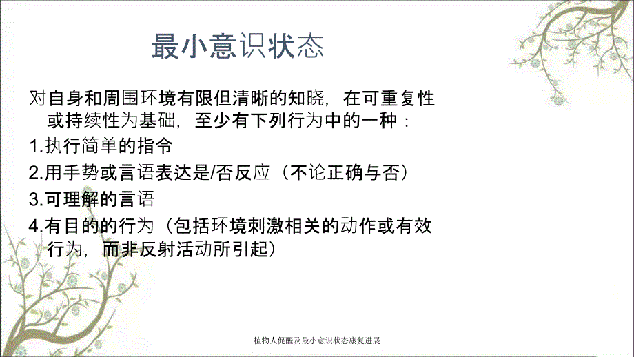 植物人促醒及最小意识状态康复进展.ppt_第2页