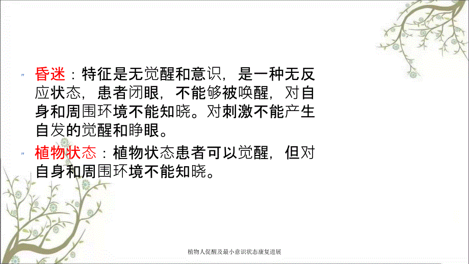 植物人促醒及最小意识状态康复进展.ppt_第3页
