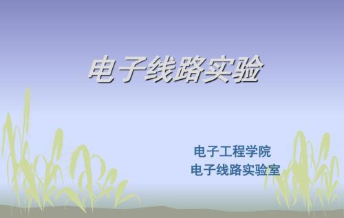 模拟电子技术实验模电实验ppt课件.ppt