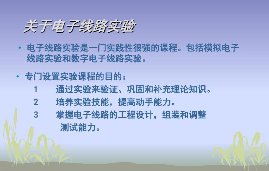 模拟电子技术实验模电实验ppt课件.ppt_第2页