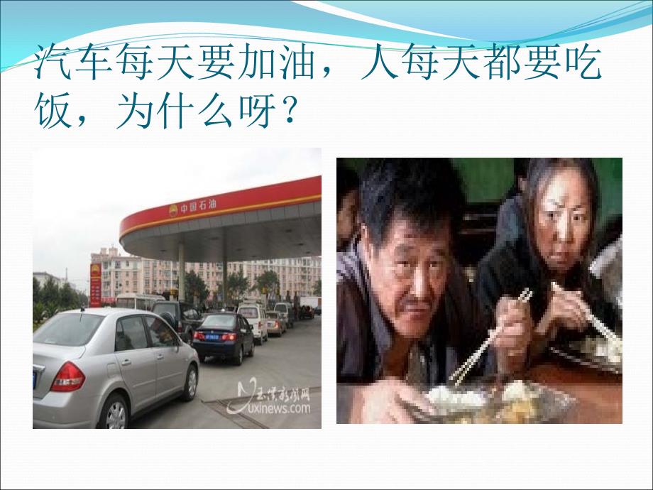 小学研究性学习PPT课件.ppt_第3页