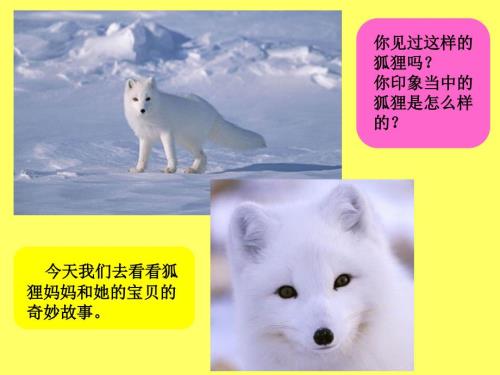 小狐狸买手套课件.ppt