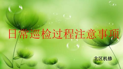 日常巡检过程注意事项.ppt