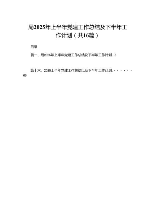 局2025年上半年党建工作总结及下半年工作计划【16篇精选】供参考.docx