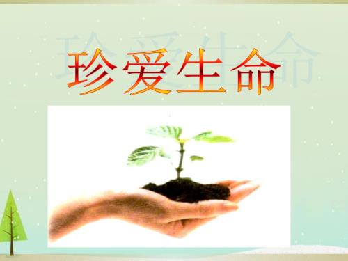 珍爱生命的主题班会课件PPT.ppt