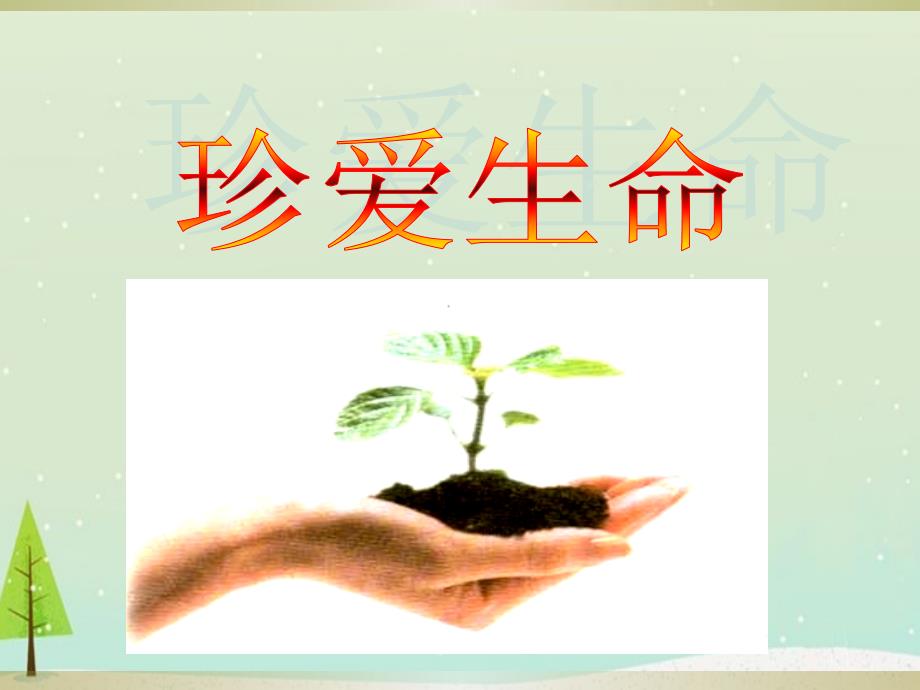 珍爱生命的主题班会课件PPT.ppt_第1页