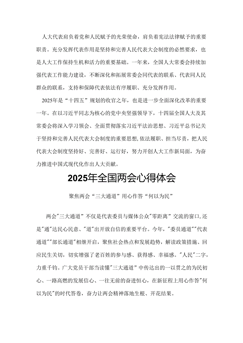 2025年两会发言稿.docx_第3页