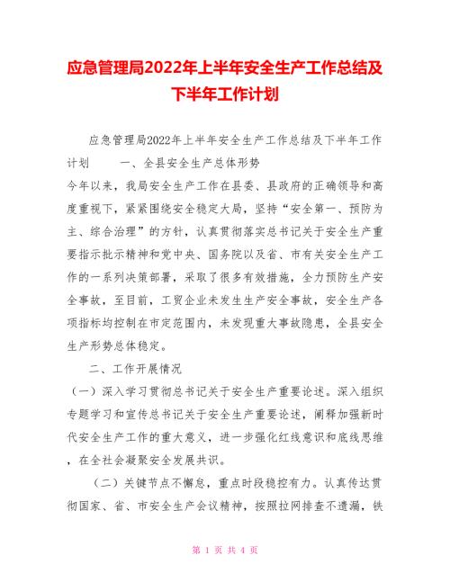应急管理局2022年上半年安全生产工作总结及下半年工作计划.doc