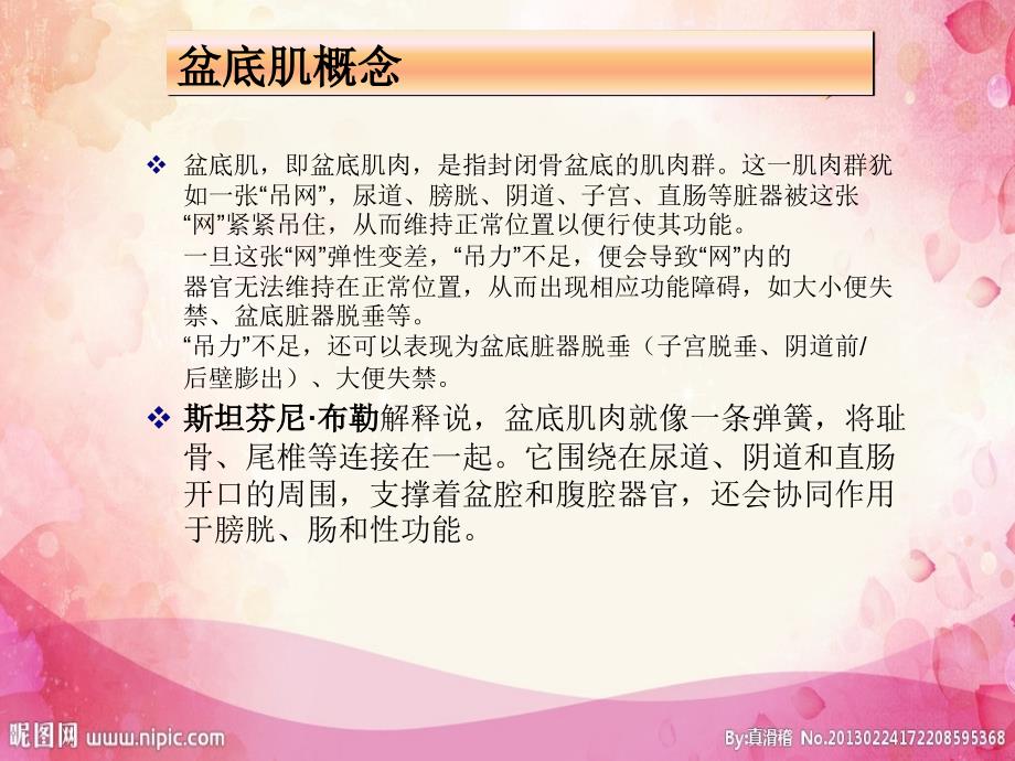盆底肌康复PPT演示课件.ppt_第2页