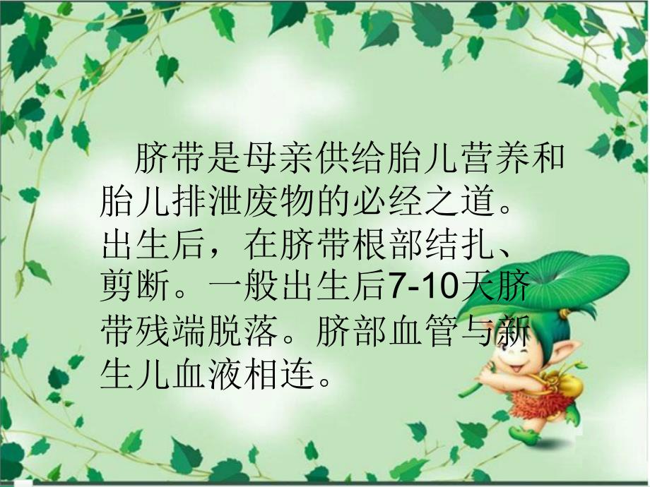 新生儿脐炎的护理.ppt_第2页