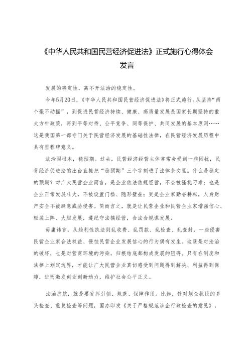 2025年《中华人民共和国民营经济促进法》正式施行心得体会感悟.docx