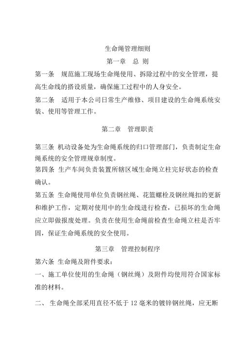 生命绳管理细则.doc