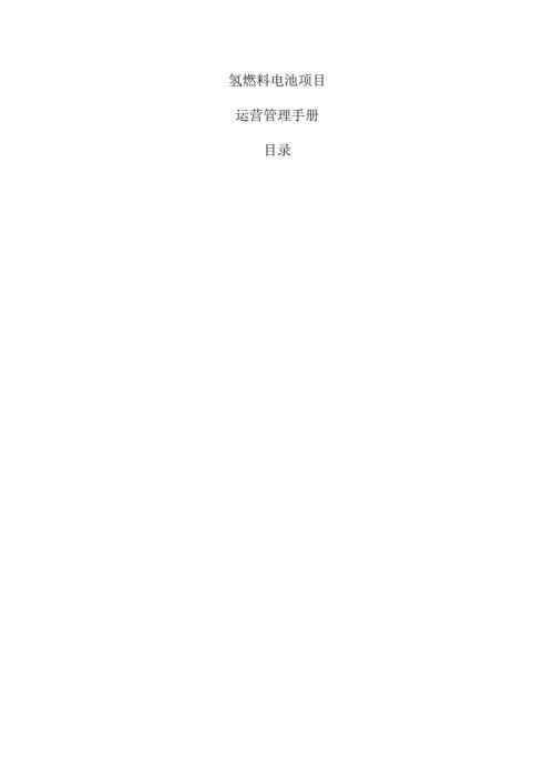 氢燃料电池项目运营管理手册.docx