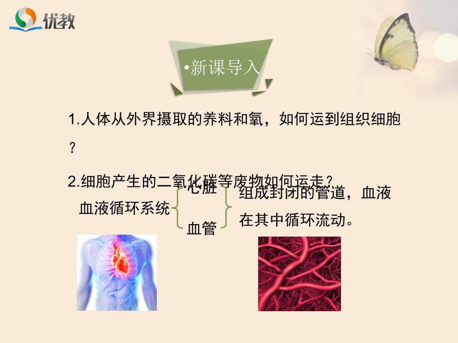 流动的组织血液优教课件.ppt_第2页