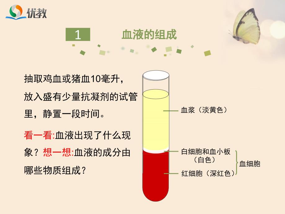 流动的组织血液优教课件.ppt_第3页