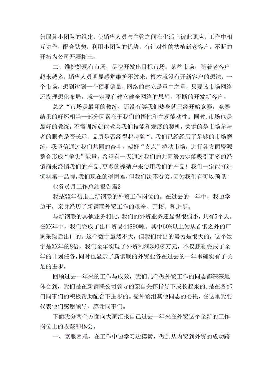 业务员月工作总结报告（20篇）.docx_第3页