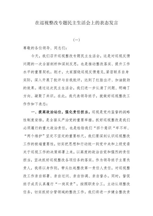 在巡视整改专题民主生活会上的表态发言.docx