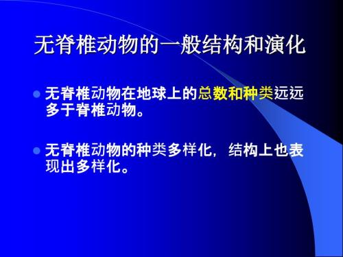 无脊椎动物演化PPT课件.ppt