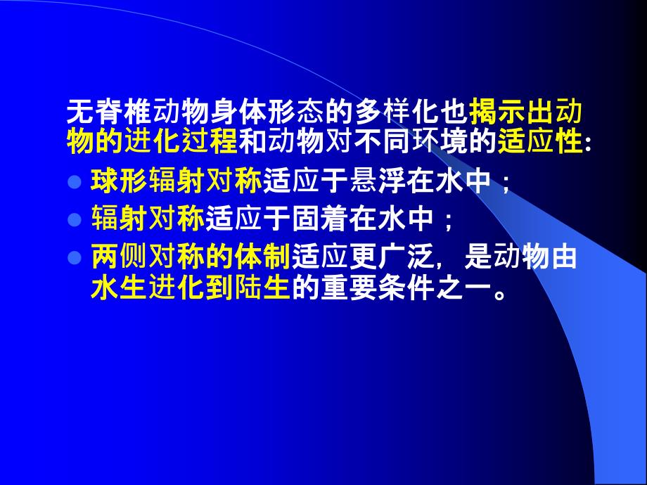 无脊椎动物演化PPT课件.ppt_第3页