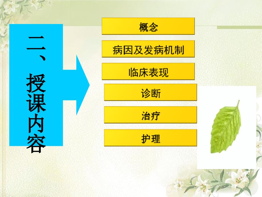 帕金森病PPT课件.ppt_第2页