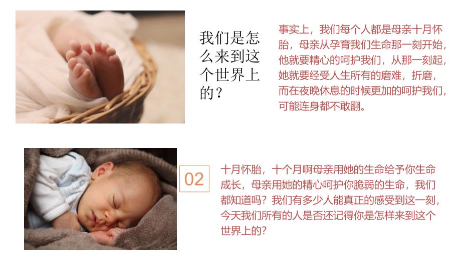 小学生三生主题班会教育实用PPT教育课件.pptx_第3页