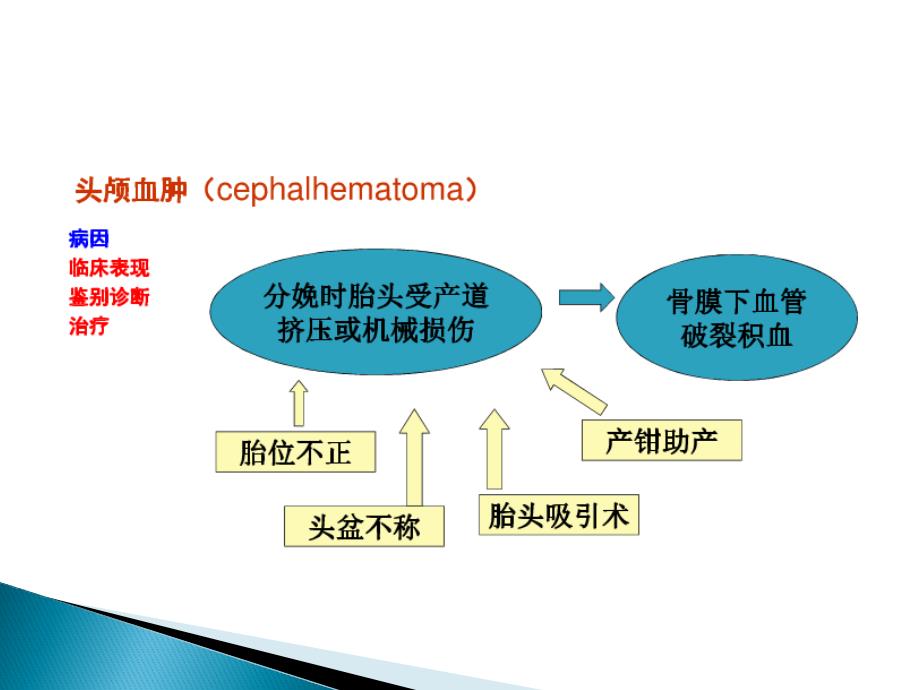 新生儿产伤PPT课件.pptx_第3页