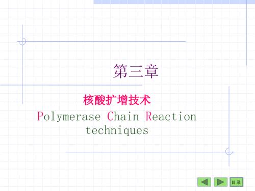 核酸扩增技术课件.ppt