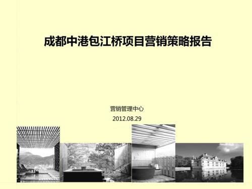 成都中港包江桥项目营销策略报告2.ppt