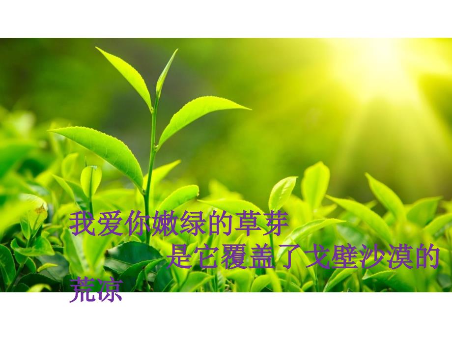 我爱你祖国PPT完美版.ppt_第3页