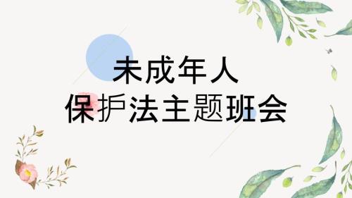 未成年人保护法.pptx