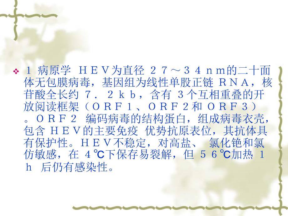 戊型病毒性肝炎诊疗规范.ppt_第3页