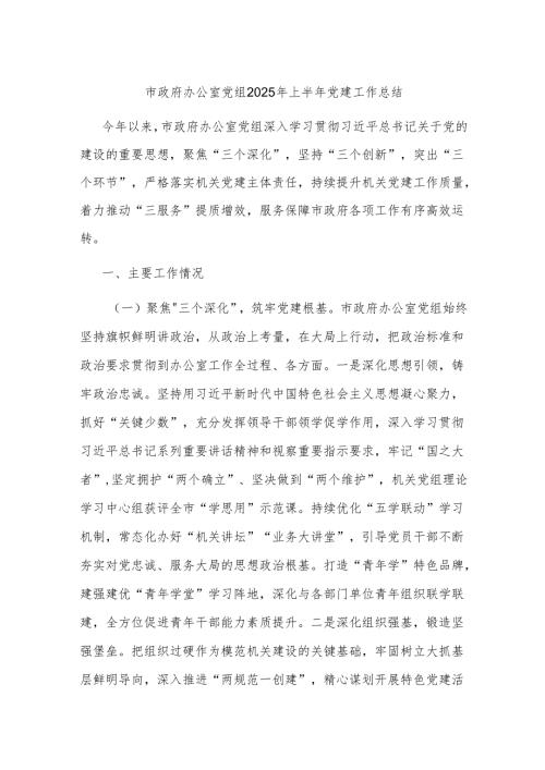 市政府办公室党组2025年上半年党建工作总结.docx