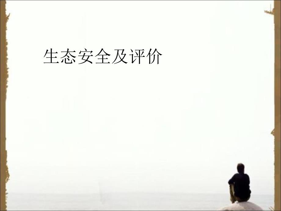 生态安全PPT课件.ppt_第1页