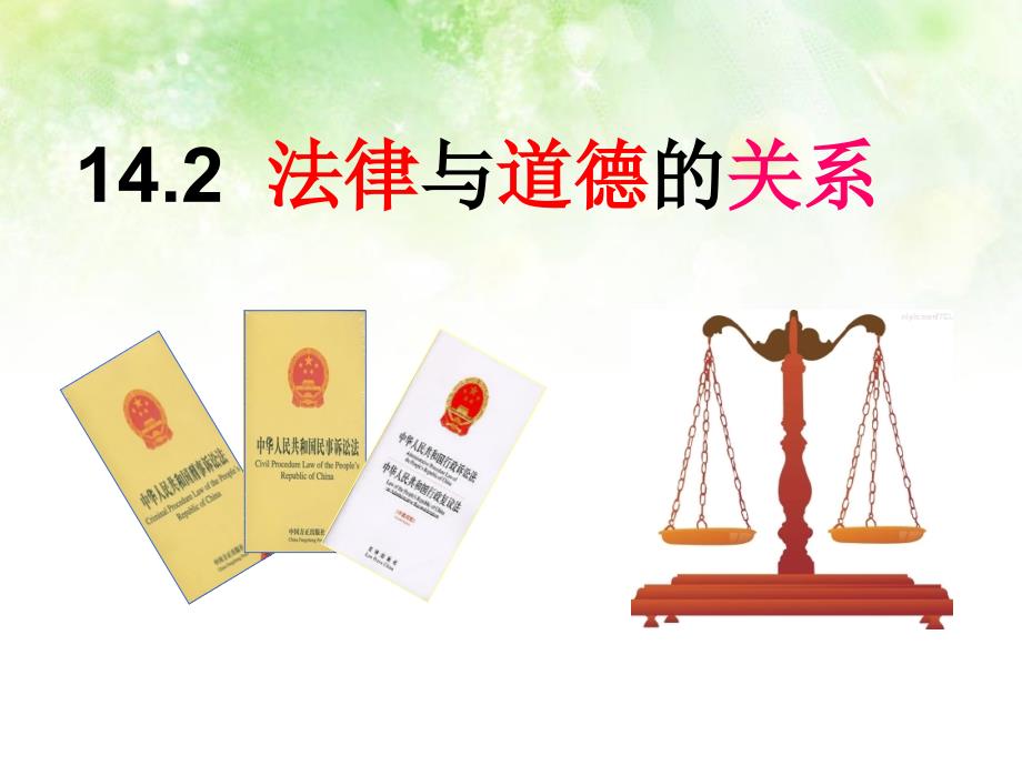 法律与道德的关系.ppt_第2页
