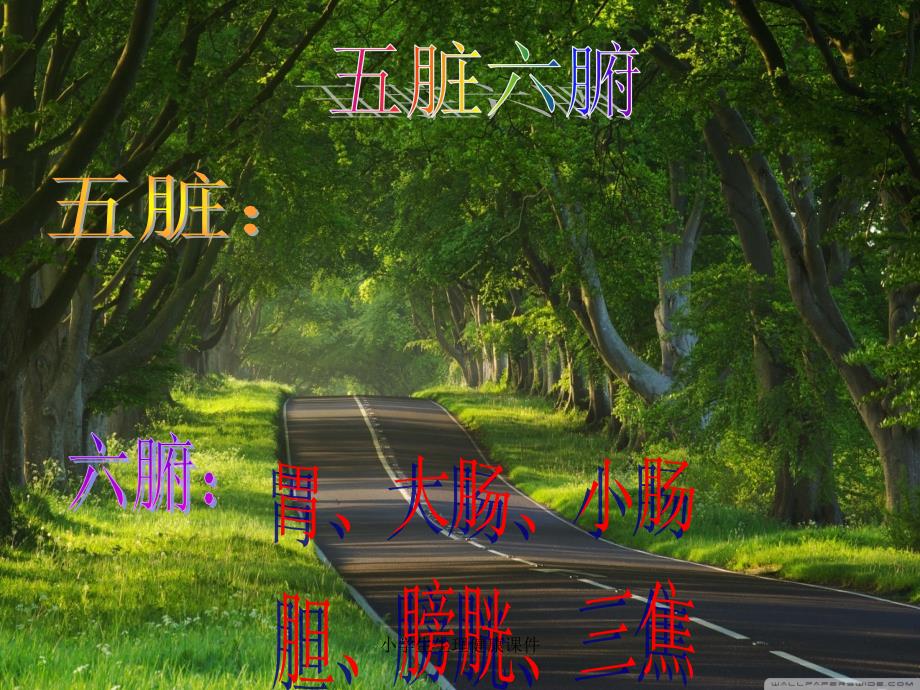小学生生理健康课件.ppt_第3页