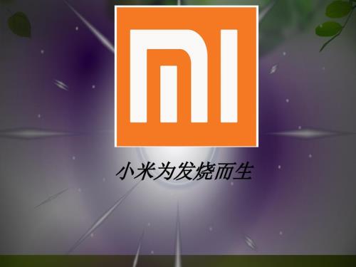 小米企业战略管理.ppt