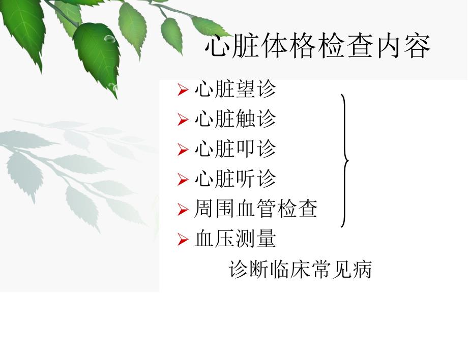 心脏体格检查王利平.ppt_第2页