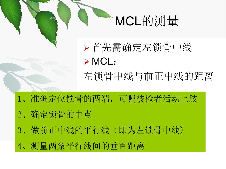 心脏体格检查王利平.ppt_第3页