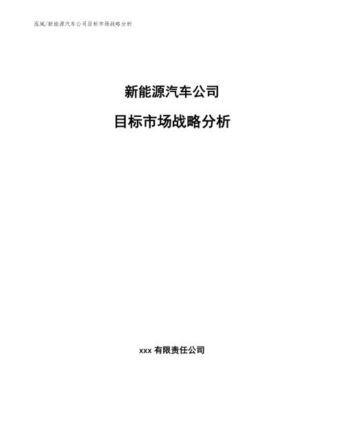 新能源汽车公司目标市场战略分析范文.docx