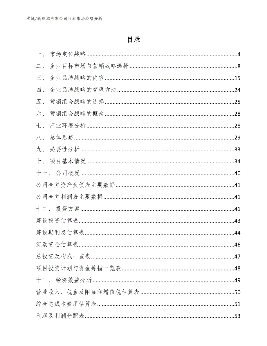 新能源汽车公司目标市场战略分析范文.docx_第2页