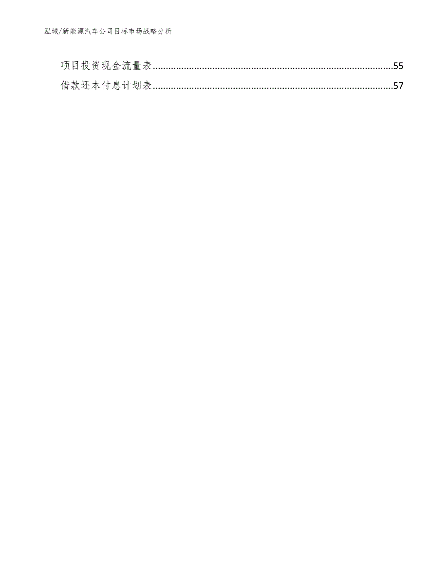 新能源汽车公司目标市场战略分析范文.docx_第3页