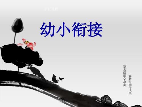 幼小衔接大班课件整理稿.ppt
