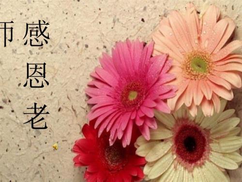 感恩老师课件.ppt