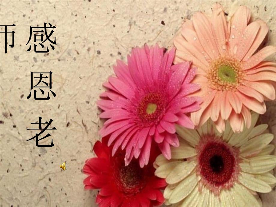 感恩老师课件.ppt_第1页