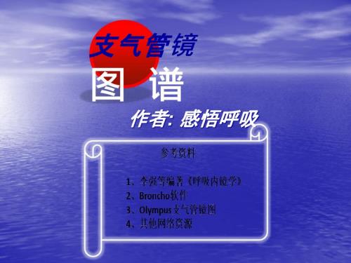 支气管分段亚段及及支气管镜检查.ppt