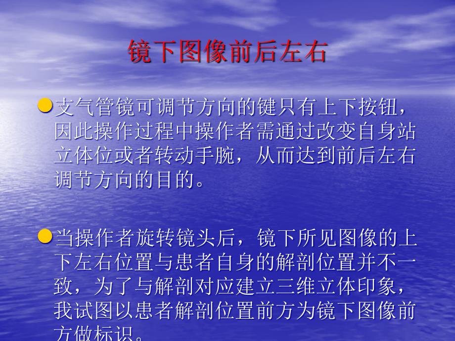 支气管分段亚段及及支气管镜检查.ppt_第3页