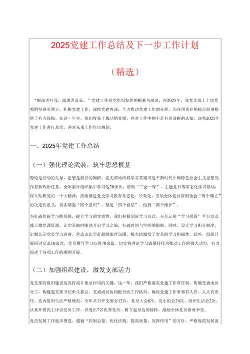 2025党建工作总结及下一步工作计划（精选）.docx
