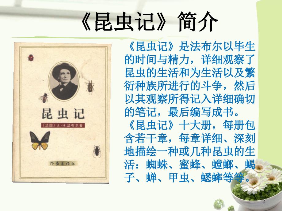 昆虫记知识竞赛PPT.ppt_第2页