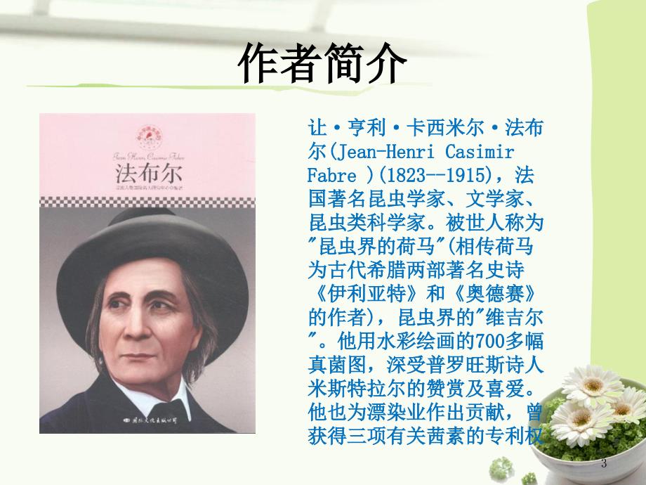 昆虫记知识竞赛PPT.ppt_第3页