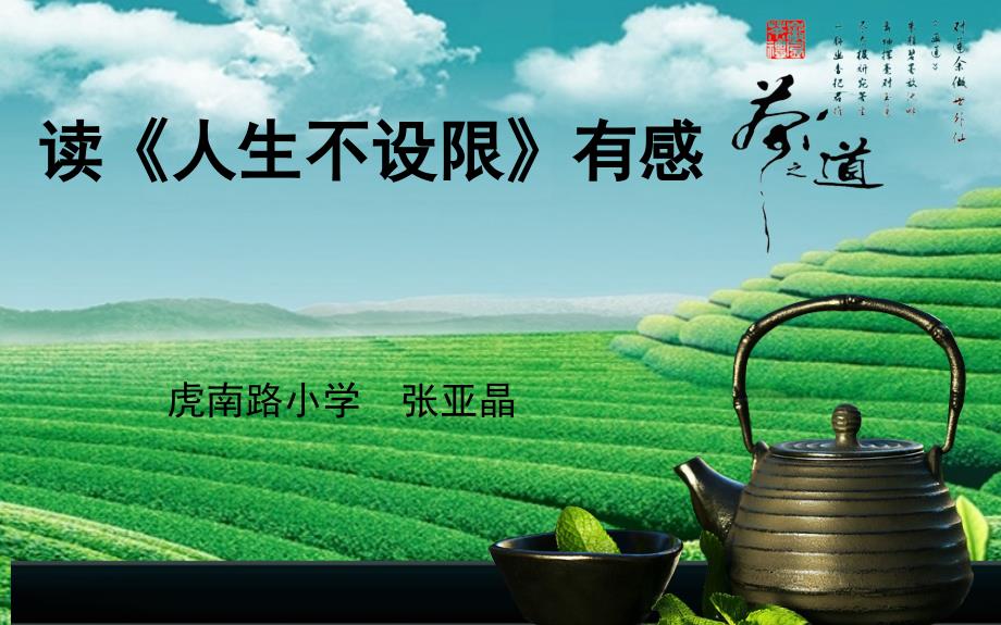 张亚晶人生不设限读后感.ppt_第1页